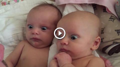 Top 10 Funny Baby Videos 2015